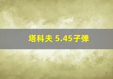 塔科夫 5.45子弹